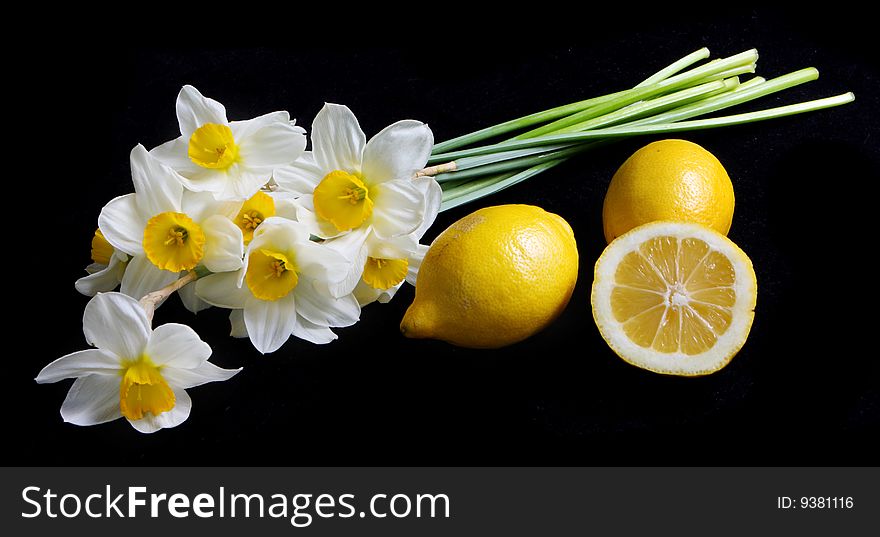 Lemons and flowers isolated on black