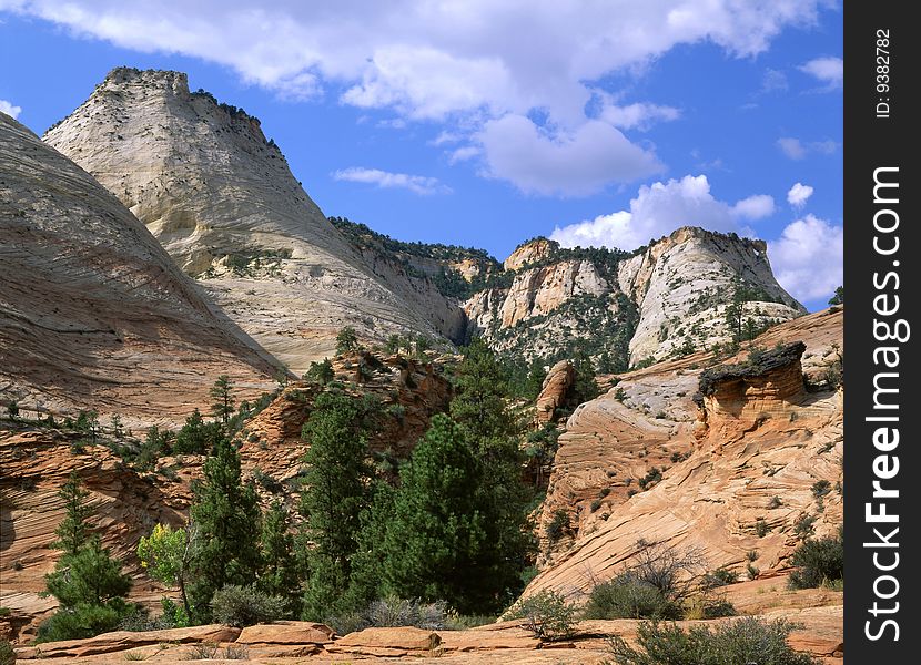 Petrified Sand Dunes At Zion National Park, Utah