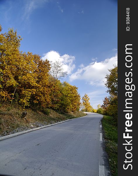 Road In Autumn