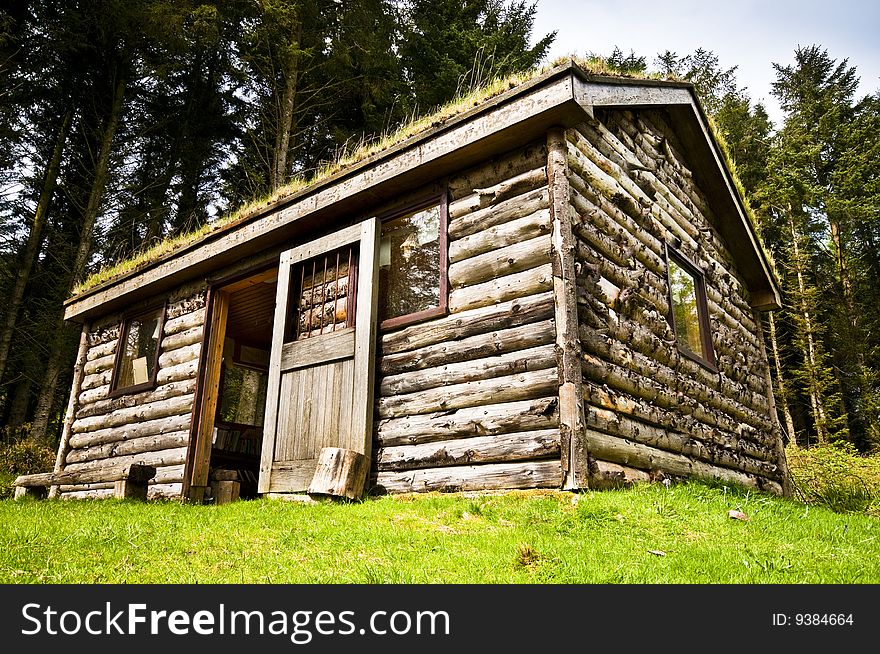 Log cabin in woods