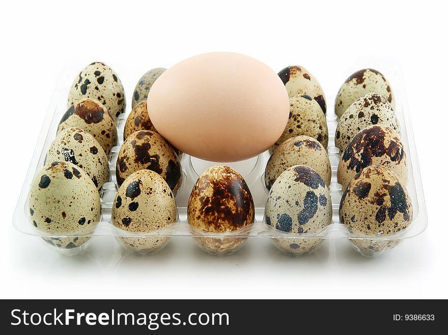 Group Of Raw Quail Eggs In Box Isolated On White