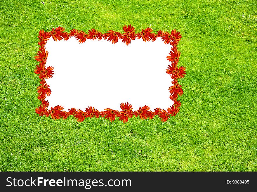 fresh green grass with white space and flowers. fresh green grass with white space and flowers