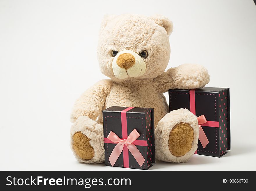 A teddy bear with wrapped presents. A teddy bear with wrapped presents.