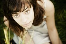 Young Woman Staring At Camera Stock Photography Young Woman Staring At Camera Stock Photography