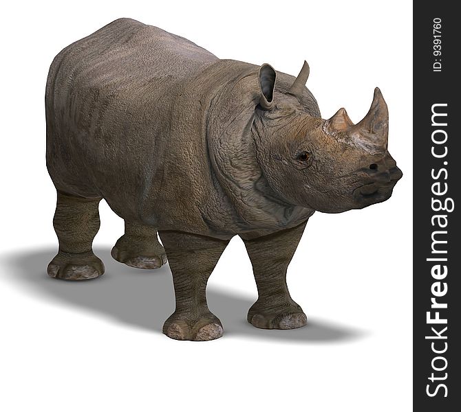 Rhinoceros Rendering