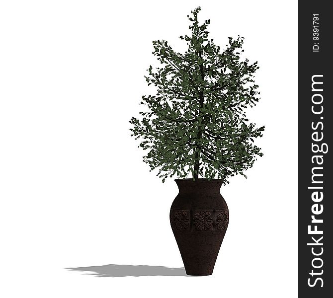 3d Render Of A Planted Tree