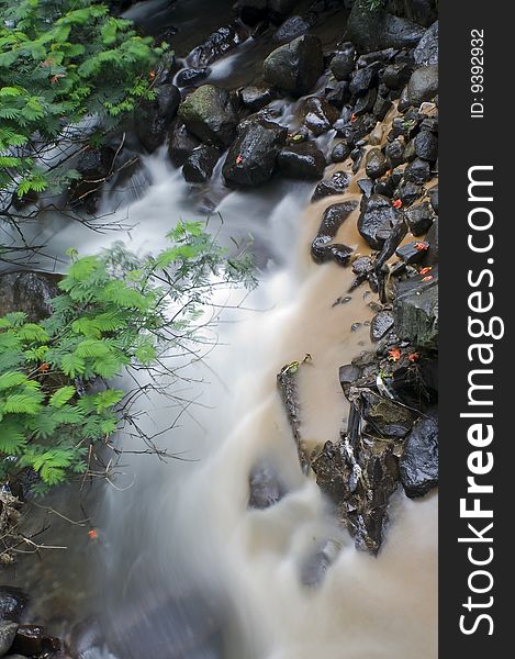 Beautiful forest river scene in indonesia. Beautiful forest river scene in indonesia