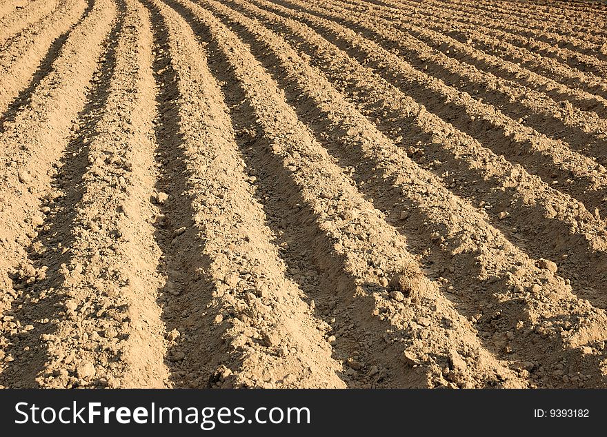 Ploughed agricultural field in countryside