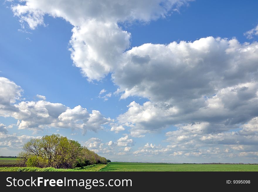 The blue sky and clouds over a green field