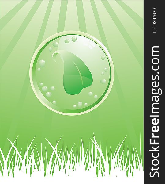 Green leaf in a protective glass on silhouettes grass background. Green leaf in a protective glass on silhouettes grass background