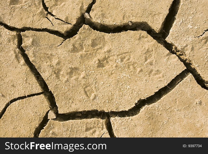 Animal footprints and cracks in dried earth. Animal footprints and cracks in dried earth