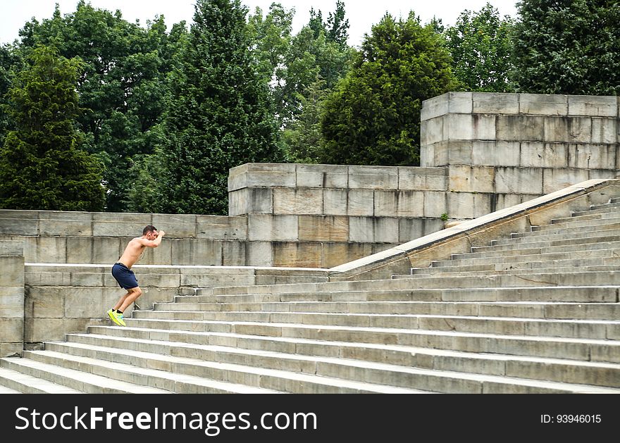 Tree, Stairs, Wood, Leisure, Composite material, Grass