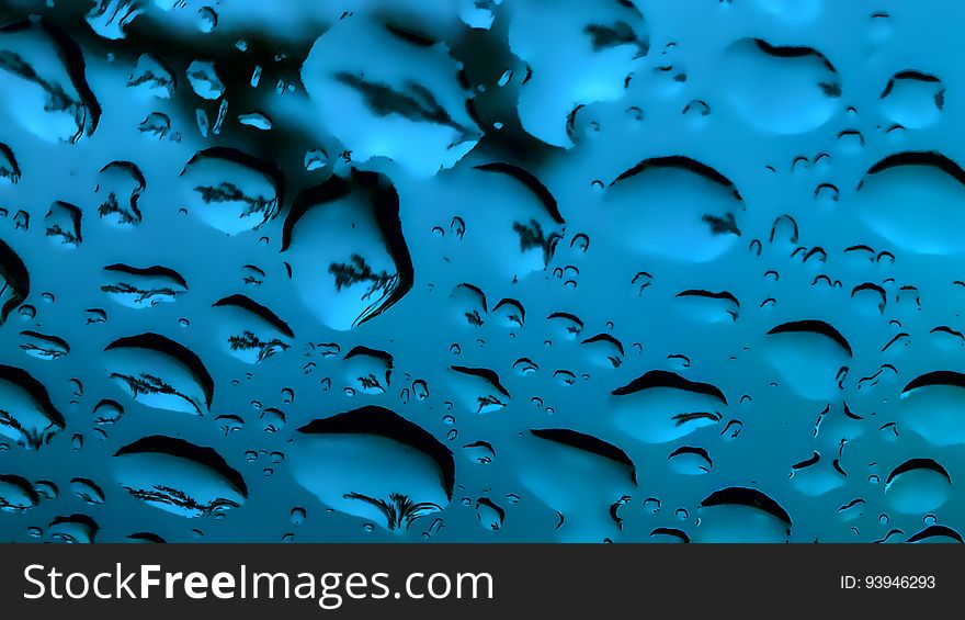 One tree turns into many, owing to the rain drops on the windshield. One tree turns into many, owing to the rain drops on the windshield.