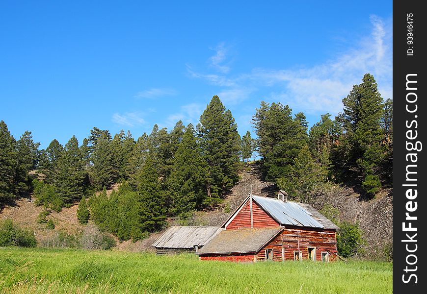 Wooden cabin