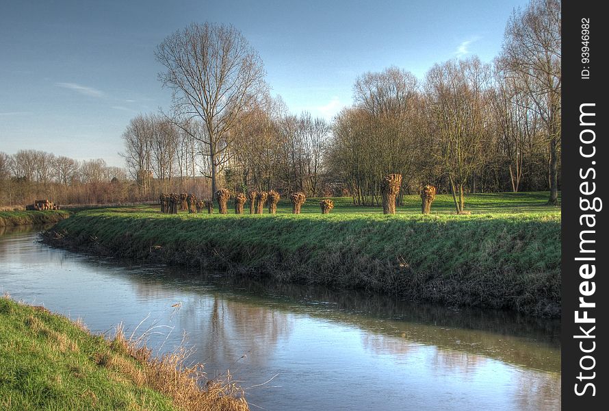 Water, Plant, Sky, Water resources, Leaf, Natural landscape