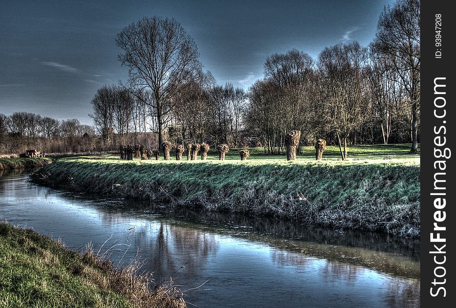 Water, Plant, Water resources, Sky, Natural landscape, Tree