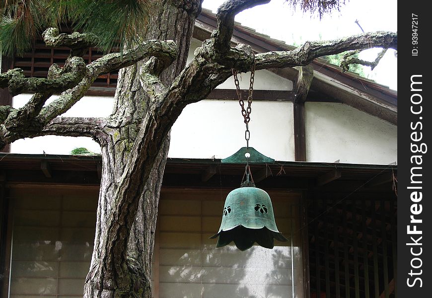 branch with Japanese bell