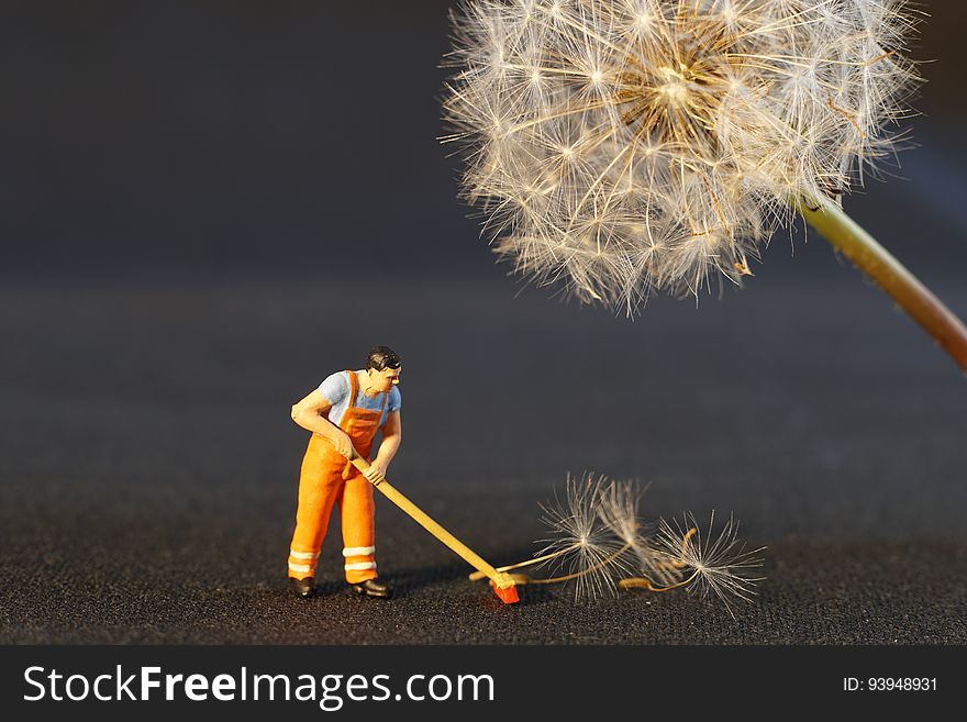 A toy figurine posed to sweep up dandelion seeds. A toy figurine posed to sweep up dandelion seeds.