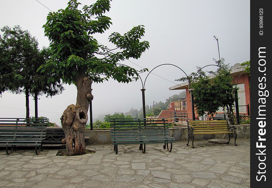 Sky, Plant, Furniture, Building