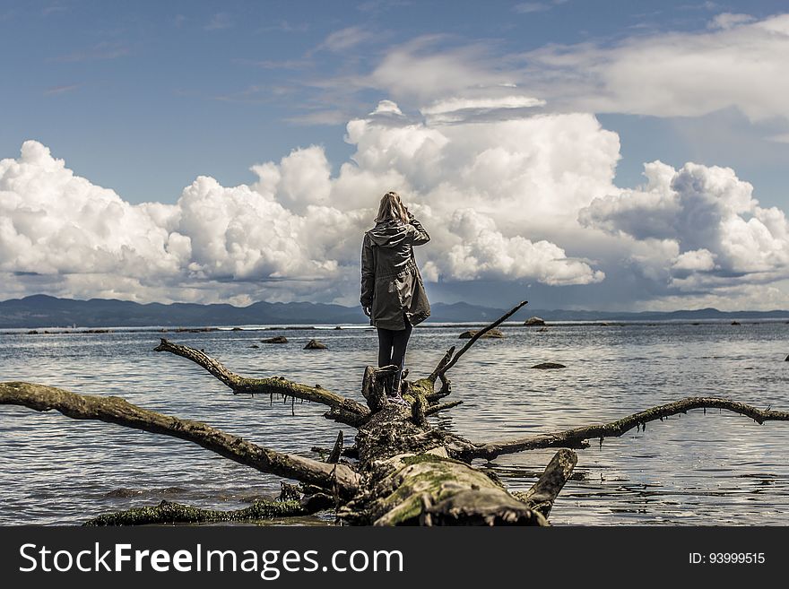 A woman standing on a piece of driftwood on the beach. A woman standing on a piece of driftwood on the beach.