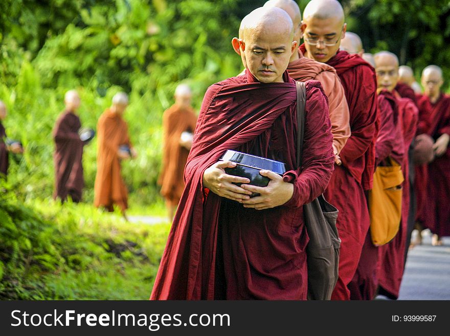 Buddhist Monks In Procession