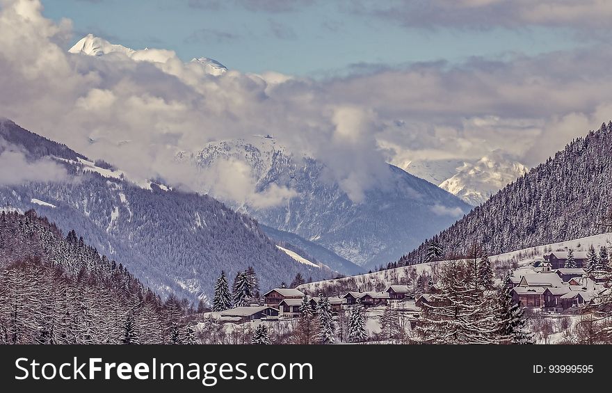 Snow covered landscape with pine tree forest in Switzerland Alps. Snow covered landscape with pine tree forest in Switzerland Alps.