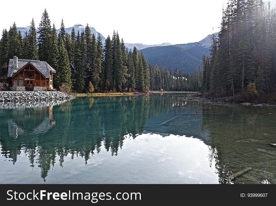 Reflection Of Trees In Lake