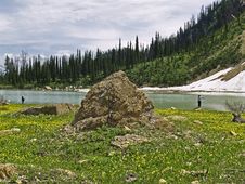 Fishing, Alpine Lake And Wildflowers Stock Photography