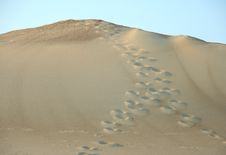 Sand Dune Royalty Free Stock Photo