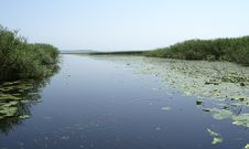 Skadar Lake Royalty Free Stock Photography Skadar Lake Royalty Free Stock Photography