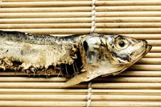 Closeup Of Dried Fish Royalty Free Stock Image Closeup Of Dried Fish Royalty Free Stock Image