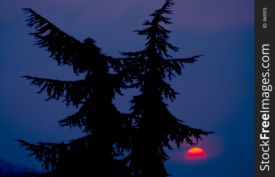 Red sunset on a blue sky, silhouette style