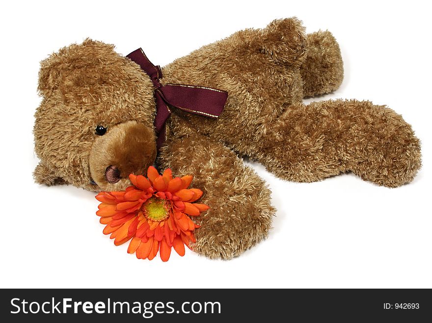 Isolated Teddy and orange flower