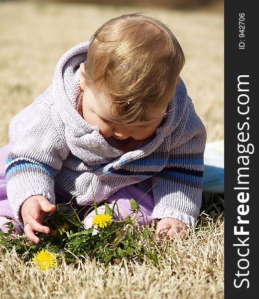 Cute baby with dandelion