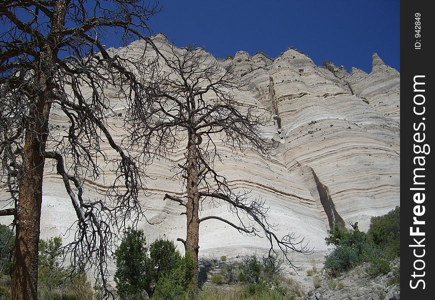 Photo of cliff and dead trees at Tent Rocks National Park in New Mexico.  This cliff was formed by millions of years of erosion. Photo of cliff and dead trees at Tent Rocks National Park in New Mexico.  This cliff was formed by millions of years of erosion.