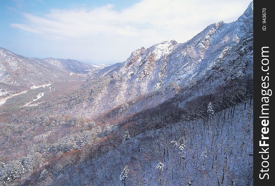 Landscape with Snow Details