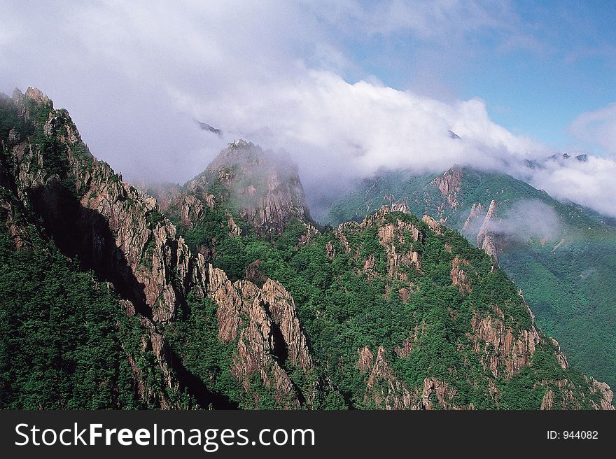 Trees over Mountain