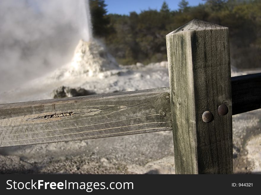 Whoosh! Eruption of Lady Knox geyser in Rotorua, New Zealand