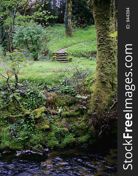 Stone Steps In Nature