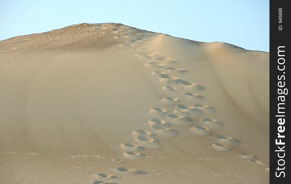 Footprints leading to the top of a sand dune