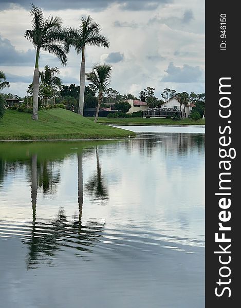 Storm remnants and palm trees reflected in manmade lake. Storm remnants and palm trees reflected in manmade lake