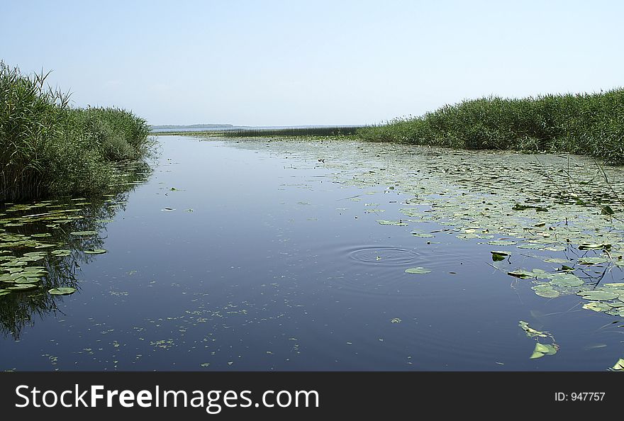 Skadar lake in Monte Negro, Europe