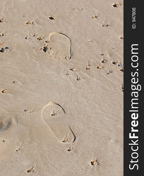 Sandle Footprints on wet sand. Sandle Footprints on wet sand