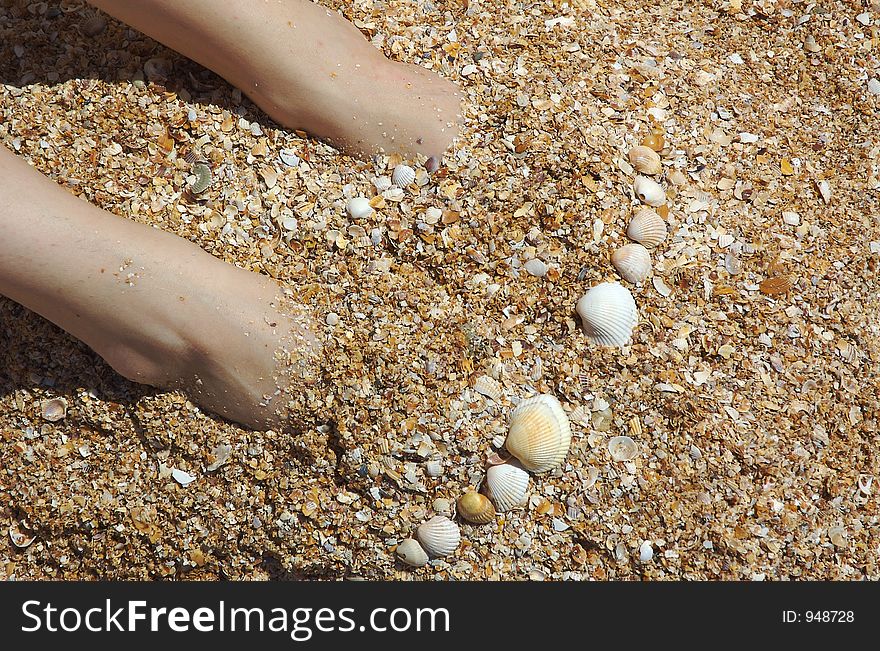 Feet and shells