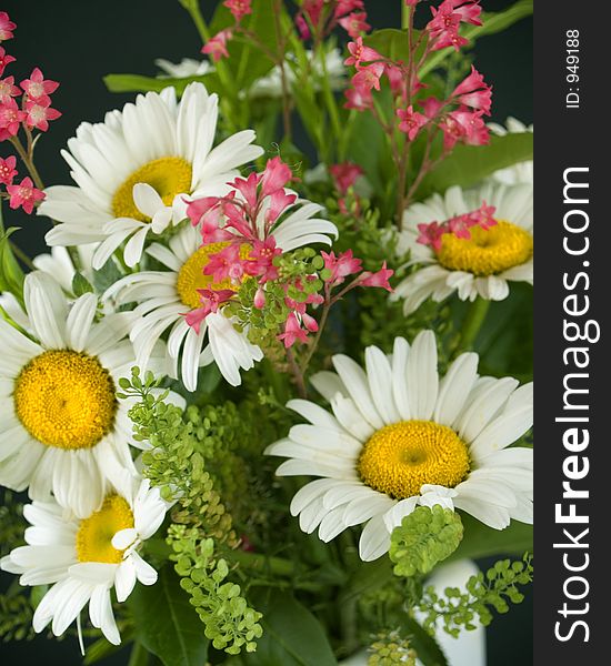 Bouquet of daisies, close up