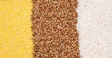 Millet, Buckwheat, Rice Background Royalty Free Stock Images Millet, Buckwheat, Rice Background Royalty Free Stock Images