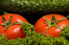 Red Tomatoes And A Cucumber On Green Verdure Royalty Free Stock Images