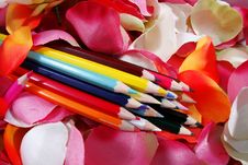 Colored Pencils Royalty Free Stock Photos Colored Pencils Royalty Free Stock Photos
