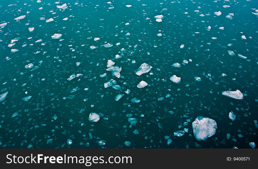 Pieces of ice on the surface of the ocean