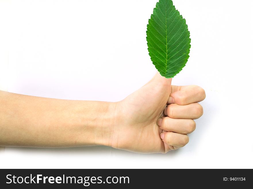 Gesturing hand OK and leaves on white background